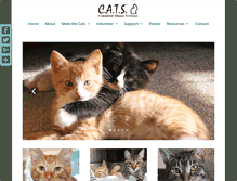 Tablet Screenshot of kittensandcats.org